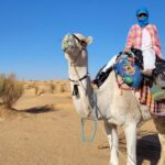 reiten auf einem kamel malen in der wüste