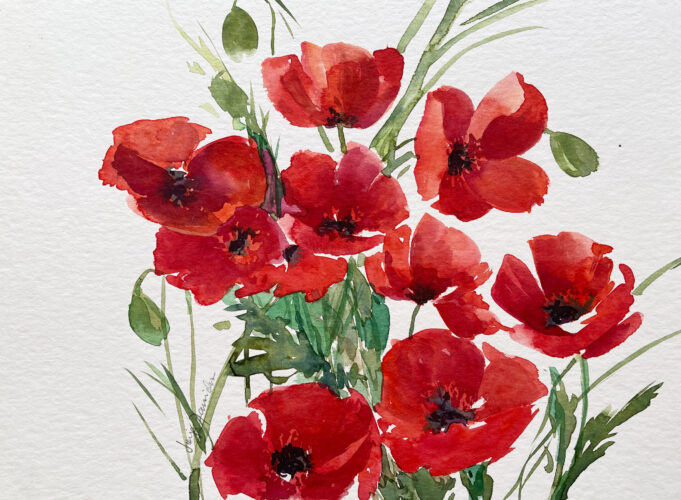 roter mohn im Aquarell gemalt