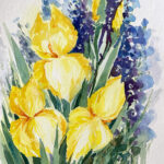 gelbe Iris mit blauem Rittersporn gemalt aquarell