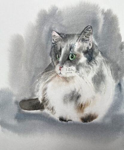 kuschelige graue Katze gemalt plüschig