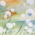 Pusteblumen Aquarell Wollgras wiese im Aqurell