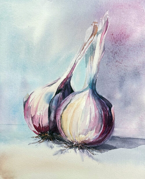 rote Zwiebeln im Aquarell